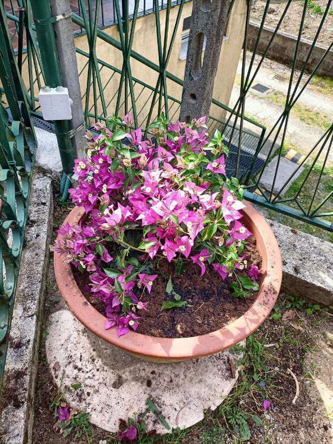 Willa Da Ange E Bru Sestri Levante Zewnętrze zdjęcie